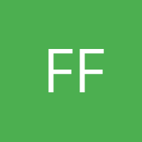 Francisca Flores
